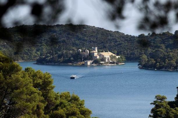 Mljet Sunset Apartman *